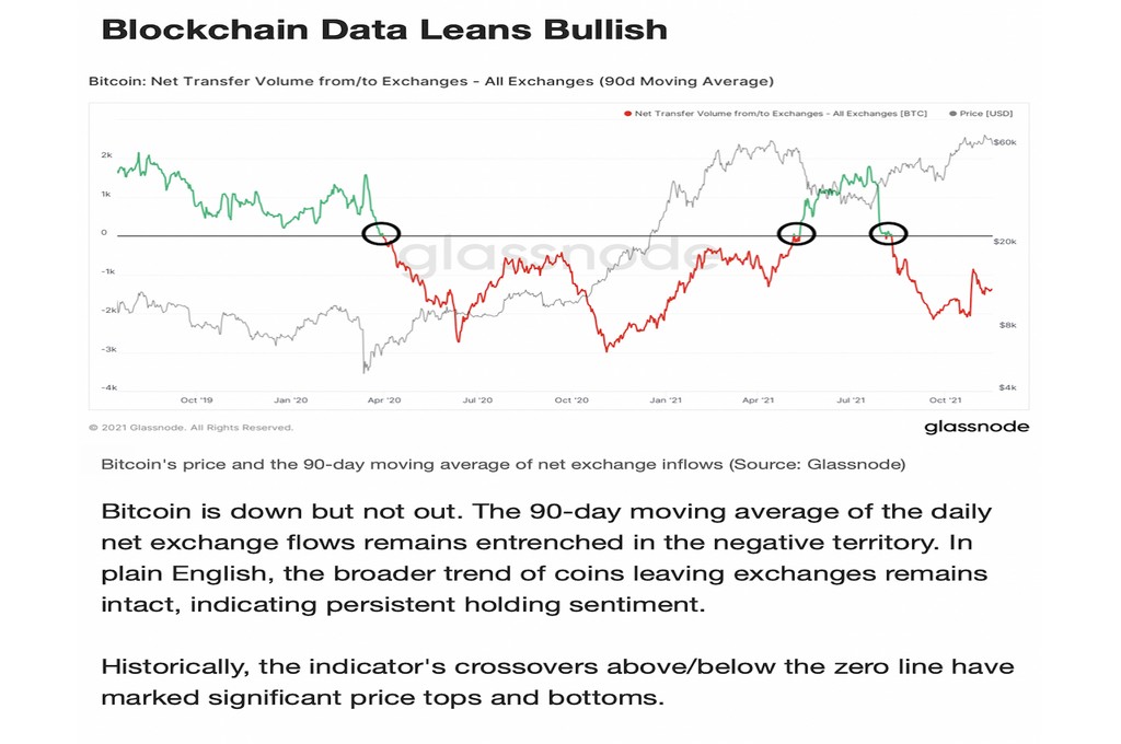 Bitcoin Blockchain data turning bulish