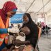 On 17th November 2016, UNICEF Nutrition Officer, Aishat Abdullahi, assesses 7 month old Umara Bukar for malnutrition at a UNICEF supported health clinic at Muna Garage IDP camp, Maiduguri, Borno State, northeast Nigeria as Umaras mother (in black) looks on.  20 days ago Umara weighed just 4.2kg when he first arrived at the health clinic run in partnership with the Nigerian government.  He now weighs 5.1kg.
To date, over 117,00 children with severe acute malnutrition (SAM) in northeast Nigeria have been admitted to therapeutic feeding programmes run by UNICEF and partners.

In November 2016, Fanna Mohammed is worried about her son. 7-month old Umara is thin and listless. He rests his head against his mother's shoulder as she carries him in her arms. The family fled their village in a rural areas of Borno state earlier this year due to the ongoing Boko Haram-related crisis.  Now they live in an IDP camp in the state capital, Maiduguri. Muna Garage IDP camp is home to an estimated 20,000 people. 8,000 of those are children under the age of 5.  Fanna says Umara's been ill for the past few week. He is physically showing signs of severe acute malnutrition. The bones on his chest and back are prominent; his skin is loose around his arms and legs. Fanna's brought Umara to a UNICEF-supported medical clinic that's situated within the camp. Umara is immediately given life-saving treatment. Ready-to-Use Therapeutic Food (RUFT) is a peanut-based paste that's high in calories and full of added vitamins and minerals. Three packets a day, for eight weeks can save the life of a child with severe acute malnutrition. Lying in his mother's arms, Umara slowly but surely eats the food. Before he's allowed home, the health team put him on a course of extra vitamin A, antibiotics and anti-malarial medicine.  A week later, Umara's back at the clinic for his second screening. There's a small, but steady improvement. His arm is plumper, at 9.7CM and he's put on a little weight. The