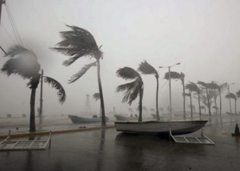 A picture dated 17 September 2010 shows the wind hitting on the beaches of the city of Veracruz. Hurricane Karl hit on the east coast of Mexico with category three. Photo Jorge Reyes/dpa