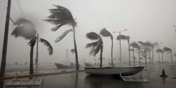 A picture dated 17 September 2010 shows the wind hitting on the beaches of the city of Veracruz. Hurricane Karl hit on the east coast of Mexico with category three. Photo Jorge Reyes/dpa