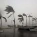 A picture dated 17 September 2010 shows the wind hitting on the beaches of the city of Veracruz. Hurricane Karl hit on the east coast of Mexico with category three. Photo Jorge Reyes/dpa