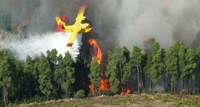 canadair