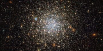 This image from the NASA/ESA Hubble Space Telescope reveals an ancient, glimmering ball of stars called NGC 1466. It is a globular cluster — a gathering of stars all held together by gravity — that is slowly moving through space on the outskirts of the Large Magellanic Cloud, one of our closest galactic neighbours. NGC 1466 certainly is one for extremes. It has a mass equivalent to roughly 140 000 Suns and an age of around 13.1 billion years, making it almost as old as the Universe itself. This fossil-like relic from the early Universe lies some 160 000 light-years away from us. Nestled within this ancient time capsule are 49 known RR Lyrae variable stars, which are indispensable tools for measuring distances in the Universe. These variable stars have well-defined luminosities, meaning that astronomers know the total amount of energy they emit. By comparing this known luminosity to how bright the stars appear in the sky, their distance can be easily calculated. Astronomical objects such as this are known as standard candles, and are fundamental to the so-called cosmic distance ladder.