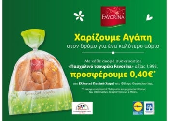 Lidl Ελληνικό Παιδικό Χωριό