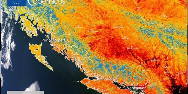 Copernicus: Ιστορικό κύμα καύσωνα σε Καναδά και ΗΠΑ