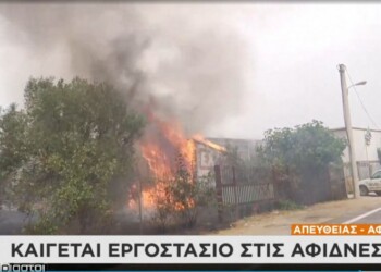 Φωτιά σε εργοστάσιο στις Αφίδνες