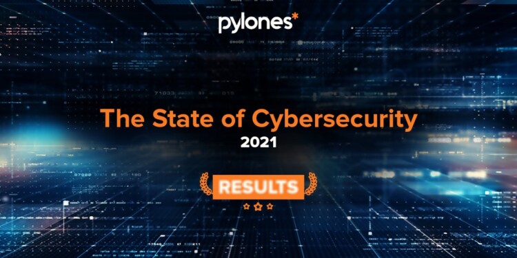 The State of Cyber Security 2021