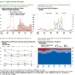 IMF Global FInancial Stability Report, Crypto Market Challenges