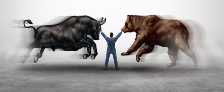 Bull VS Bear