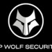 HP Wolf Security logo