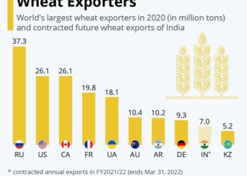 Οι μεγαλύτεροι εξαγωγείς σιτηρών στον κόσμο