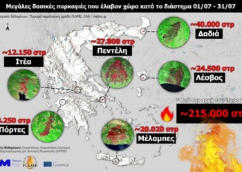 Εικόνα. Επισκόπηση των μεγάλων δασικών πυρκαγιών του Ιουλίου 2022. 