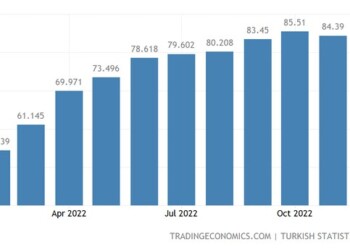Σε χαμηλό 9μηνου υποχώρησε ο πληθωρισμός στην Τουρκία τον Δεκέμβριο, κυρίως λόγω της μείωσης του κόστους στα καύσιμα