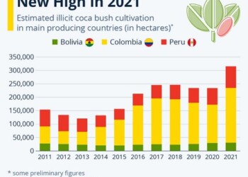 Σύμφωνα με πρόσφατη έκθεση του ΟΗΕ, η παράνομη καλλιέργεια φυτών κόκας στη Νότια Αμερική έφτασε σε νέο υψηλό επίπεδο το 2021, σημειώνοντας ραγδαία αύξηση 35% από το 2020.