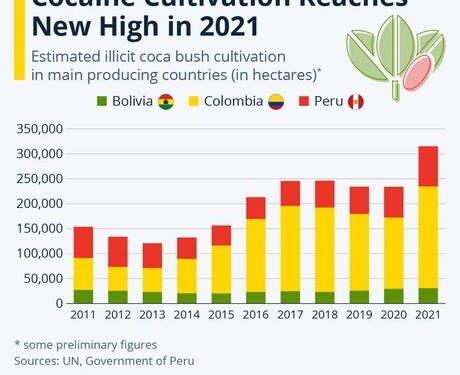 Σύμφωνα με πρόσφατη έκθεση του ΟΗΕ, η παράνομη καλλιέργεια φυτών κόκας στη Νότια Αμερική έφτασε σε νέο υψηλό επίπεδο το 2021, σημειώνοντας ραγδαία αύξηση 35% από το 2020.