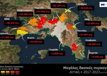 Η μαύρη 7ετία της Αττικής: Κάηκε το 33% των δασών