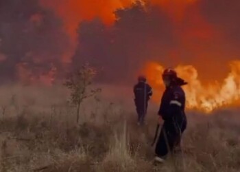 Για τρίτη μέρα μαίνεται ανεξέλεγκτη η φωτιά στην Αλεξανδρούπολη καίγοντας σπίτια σε αρκετούς οικισμούς, με δεκάδες νεκρά ζώα