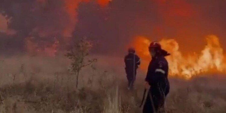 Για τρίτη μέρα μαίνεται ανεξέλεγκτη η φωτιά στην Αλεξανδρούπολη καίγοντας σπίτια σε αρκετούς οικισμούς, με δεκάδες νεκρά ζώα