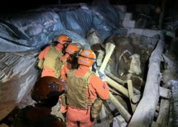 epa11097785 Rescuers search through a quake-affected area in Yamansu Township, Wushi County of Aksu Prefecture, northwest China's Xinjiang Uygur Autonomous Region, 23 January 2024. A 7.1-magnitude earthquake jolted Wushi County in Aksu Prefecture in northwest China's Xinjiang Uygur Autonomous Region at 2:09 a.m. on 23 January (Beijing Time), according to the China Earthquake Networks Center (CENC). According to the Xinjiang Earthquake Agency, the epicenter is approximately 50 km from the county seat of Wushi, with five villages located within a 20-kilometer radius around the epicenter. Several residential houses and livestock sheds collapsed in the epicenter, with some herdsmen suffering minor injuries, according to local sources. Parts of the area had experienced temporary disruption of electricity supply shortly after the quake. But the supply had been gradually restored.  EPA/XINHUA / WANG XUDONG CHINA OUT / UK AND IRELAND OUT  /       MANDATORY CREDIT  EDITORIAL USE ONLY  EDITORIAL USE ONLY