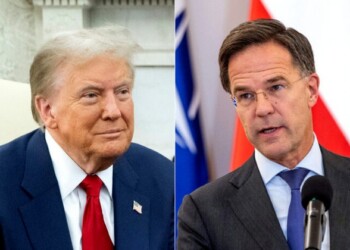 (COMBO) This combination of pictures created on November 22, 2024 shows
US President-elect Donald Trump (L) on November 13, 2024, and NATO Secretary General Mark Rutte on November 13, 2024.. NATO chief Mark Rutte held talks with US President-elect Donald Trump in Florida on the "global security issues facing the alliance", a spokeswoman said November 23, 2024. The meeting took place on November 22, 2024 in Palm Beach, Farah Dakhlallah said in a statement. In his first term Trump aggressively pushed Europe to step up defence spending and questioned the fairness of the NATO transatlantic alliance (Photo by SAUL LOEB and Wojtek RADWANSKI / AFP)