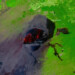 A new eruption of the Kilauea volcano in Hawaii
Location: Hawaii
Credit: European Union, Copernicus Sentinel-2 imagery